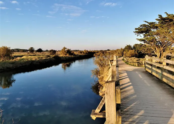 Nyaraló Couleur Proche De La